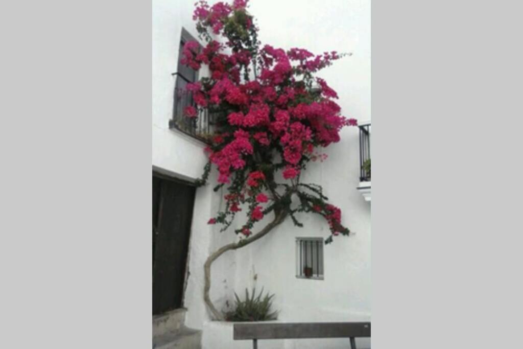 Albayalde Cielo Y Mar Διαμέρισμα Vejer de la Frontera Εξωτερικό φωτογραφία
